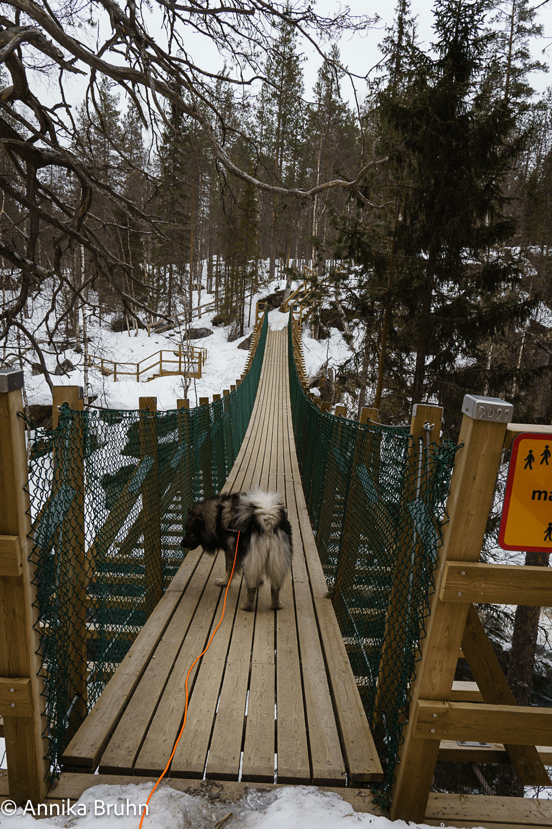 Q auf der Hängebrücke